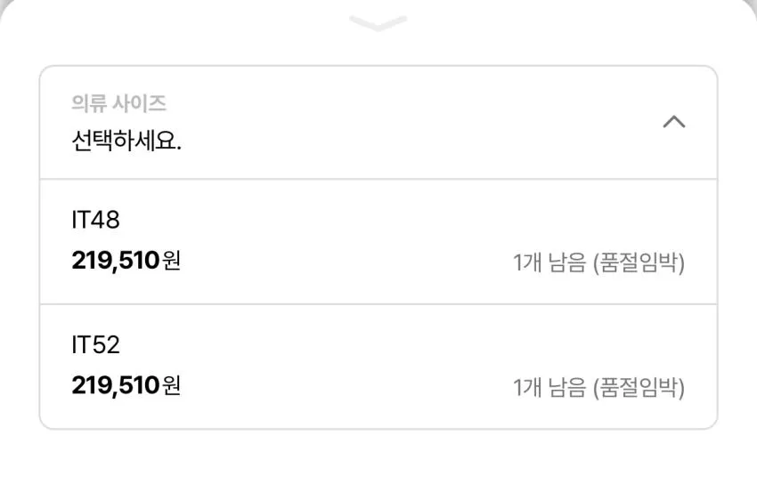 아워레가시 BD 셔츠 18.2발 등등