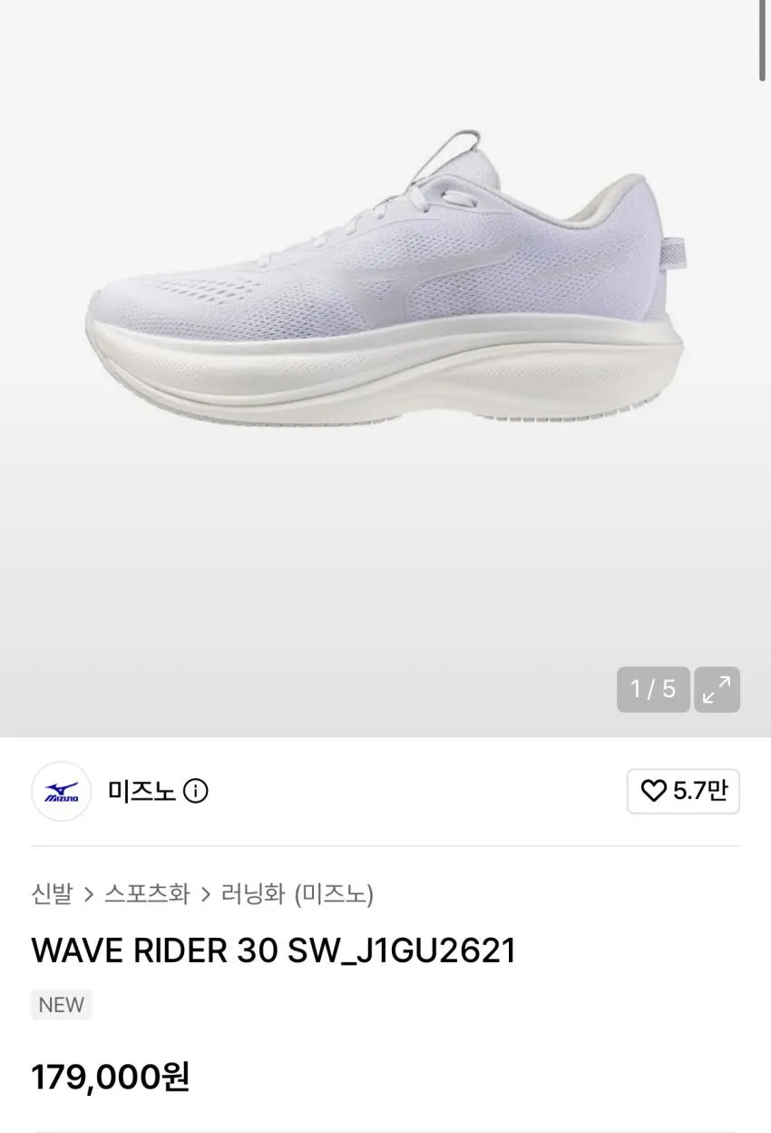 미즈노 웨이브 라이더 30 발매