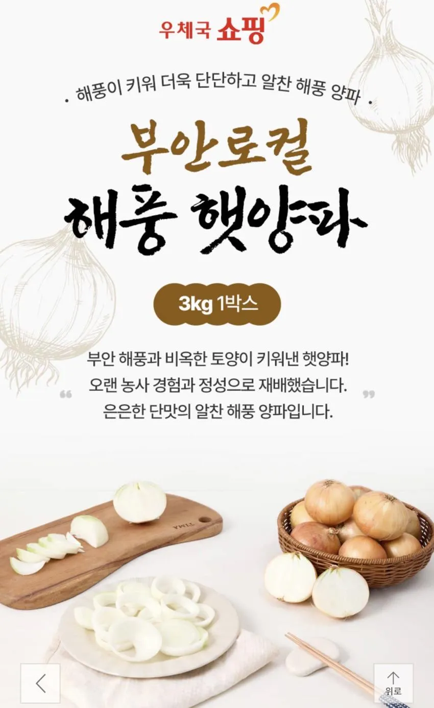 국내산 햇양파 3kg 상