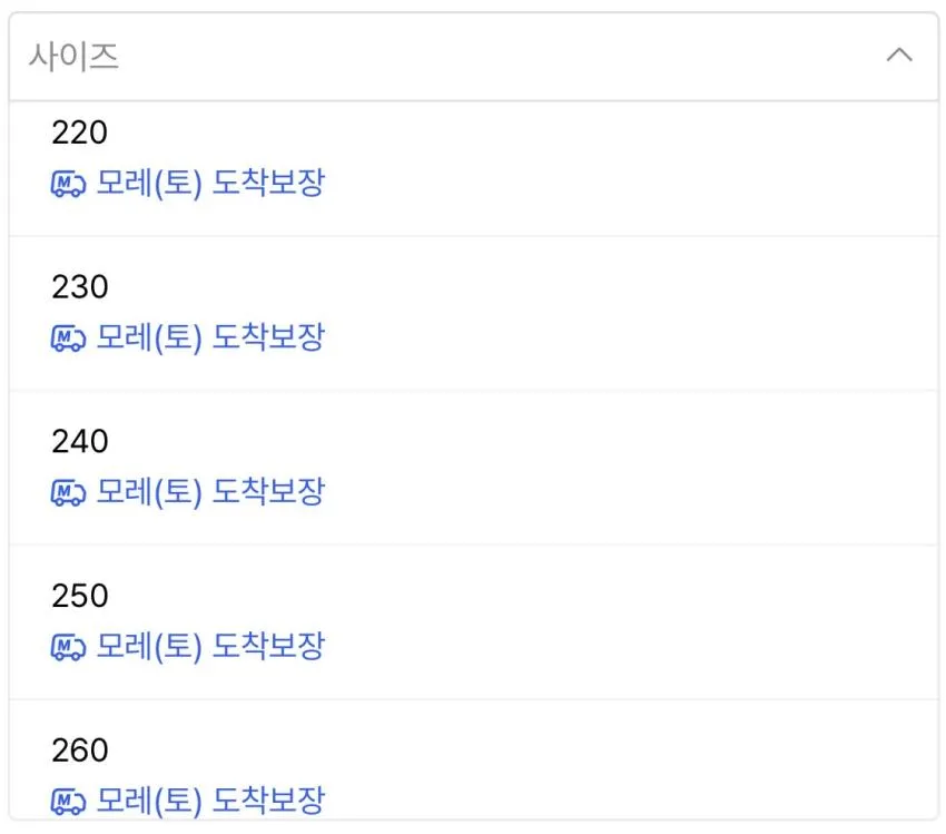 닥터마틴 1461 WDS 벡스