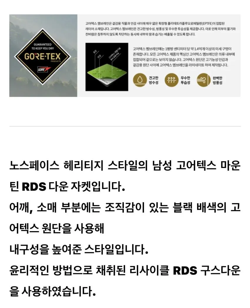 노스페이스 고어텍스 마운틴 구스 다운 자켓