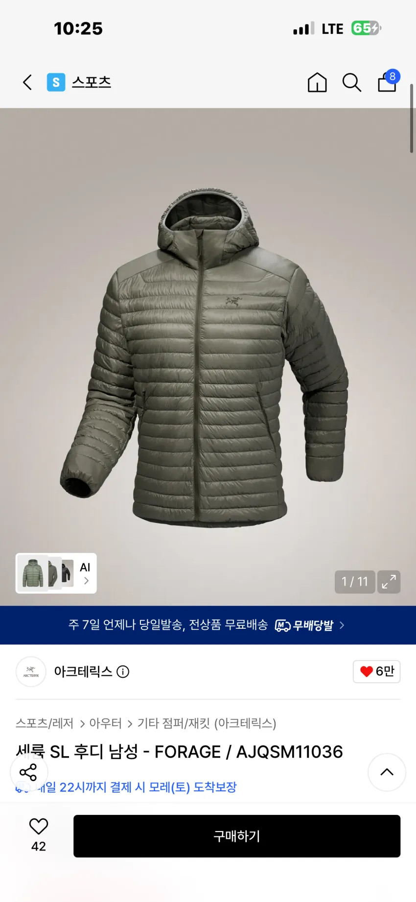 아크테릭스 세륨 SL 후디 포리지