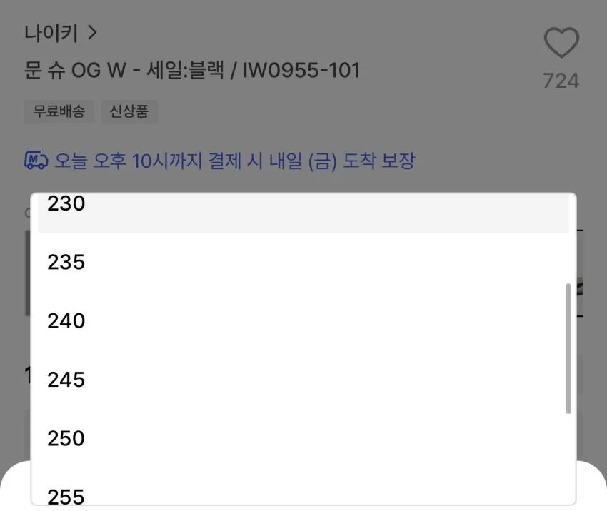 나이키 문 슈