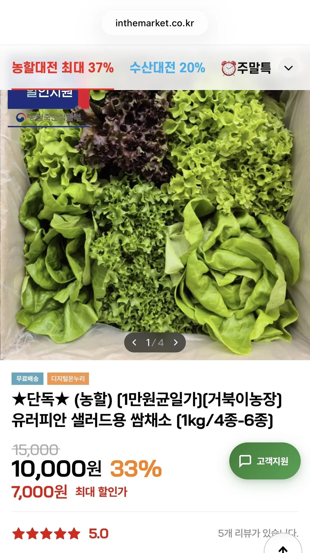 산지직송 유러피안 샐러드 채소 1키로 야채 식단, 유럽 상추 [원산지:국산], 1박스, 1kg