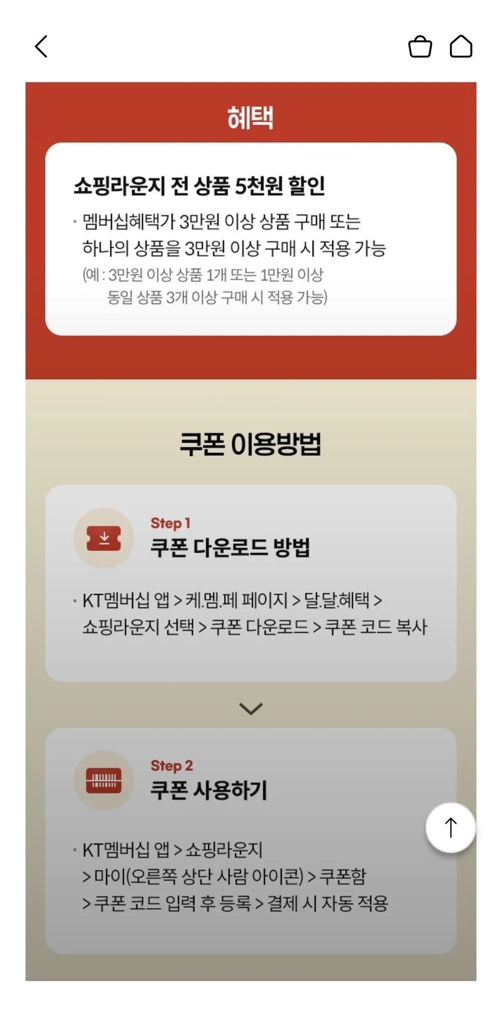 전라도찐맛 당일제조 2대 종가댁 김장 비법 유기농 포기김치 국내산100%, 5kg, 1개