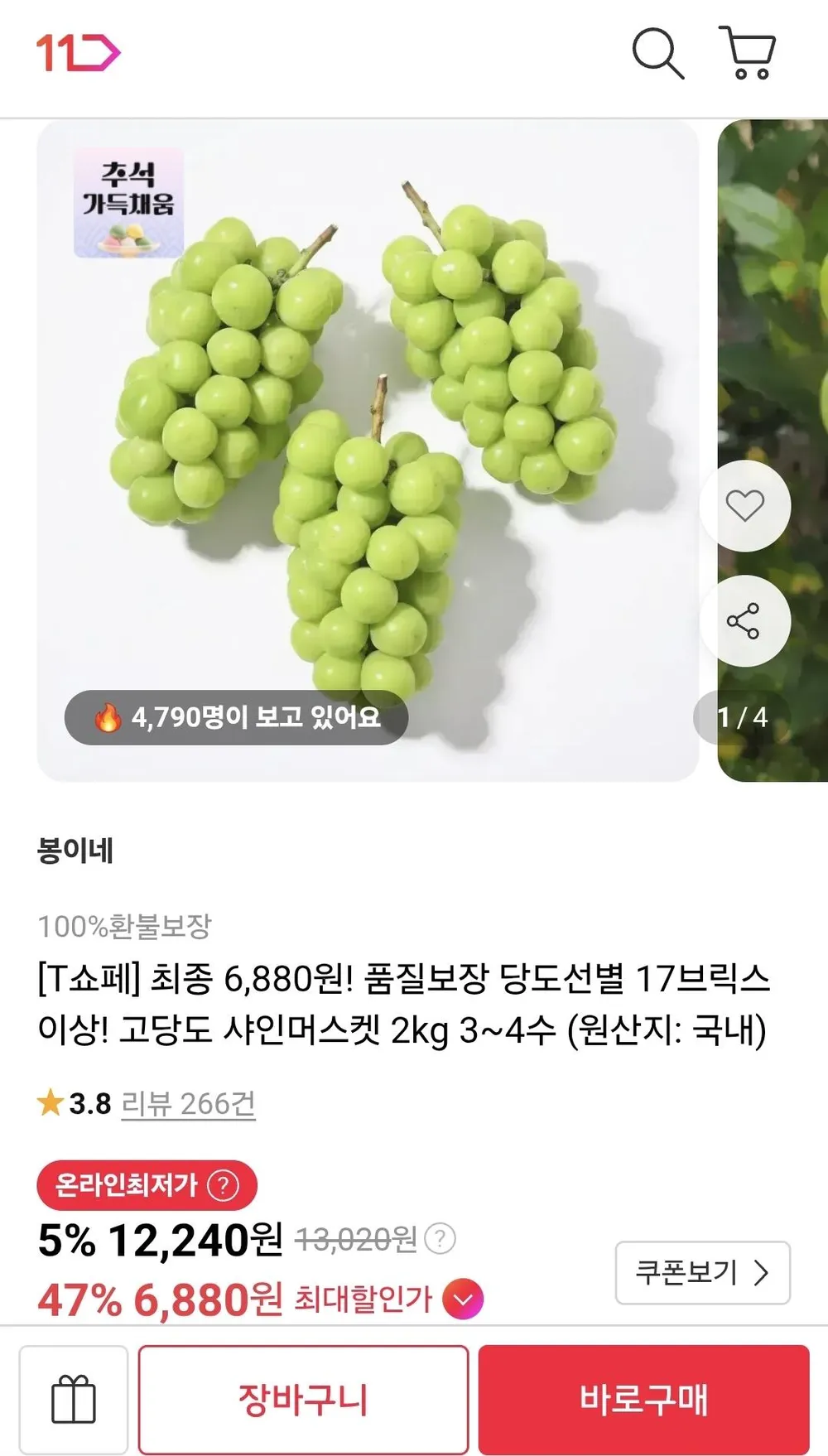 [마지막특가] 고당도 산지직송 샤인머스켓