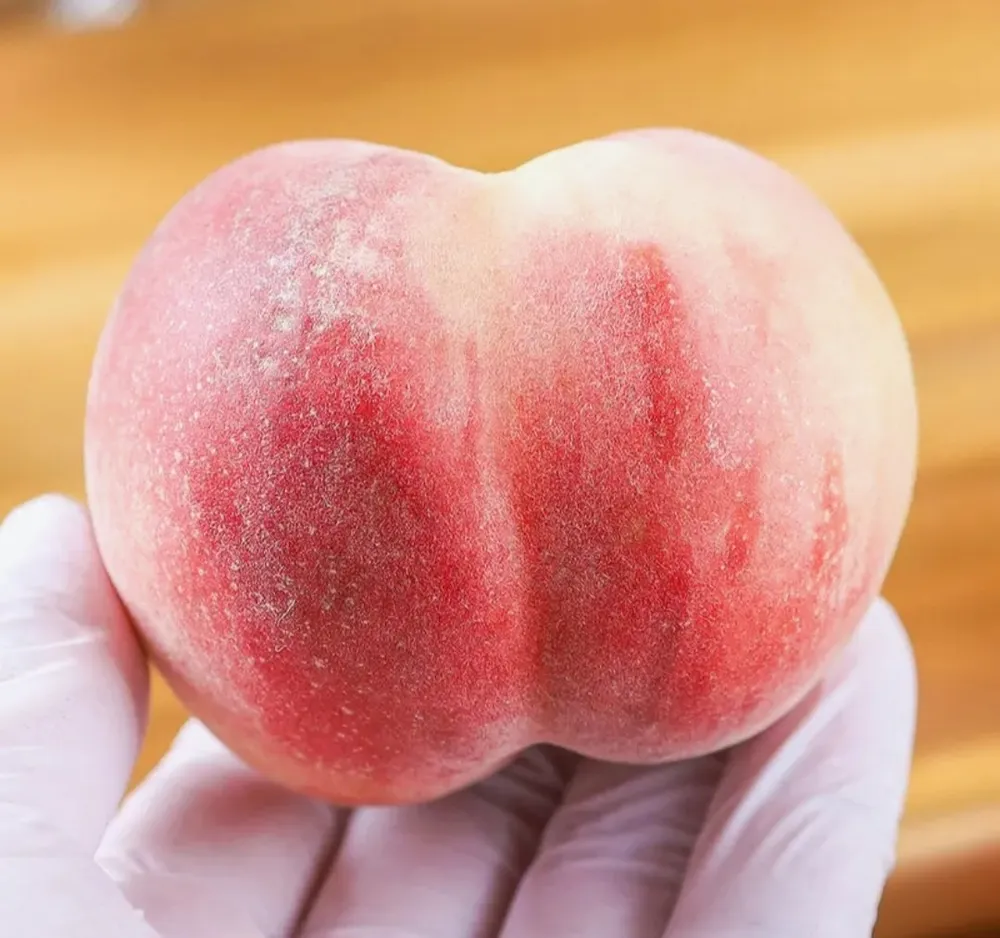 농협 대극천 복숭아 1kg