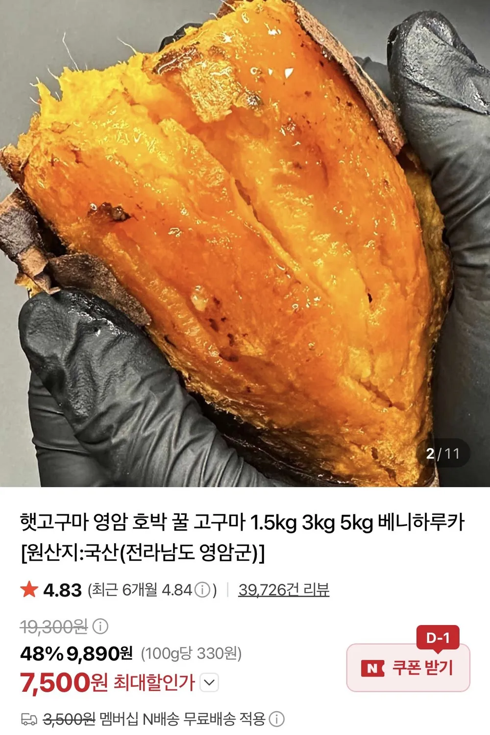 26년 영암 햇 호박고구마 중상/특상 1.5KG