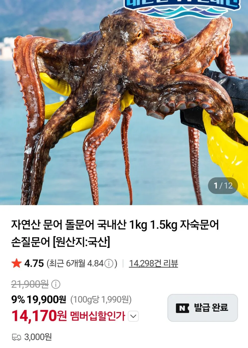 완도 자연산 문어 돌문어 국내산 1kg 제수용 (1-3마리), 1개, 문어 1kg(1~3마리)