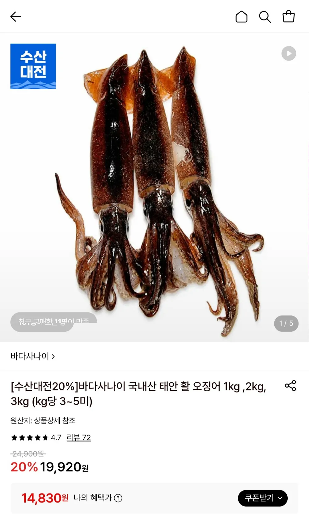국내산 태안 활 오징어 1kg