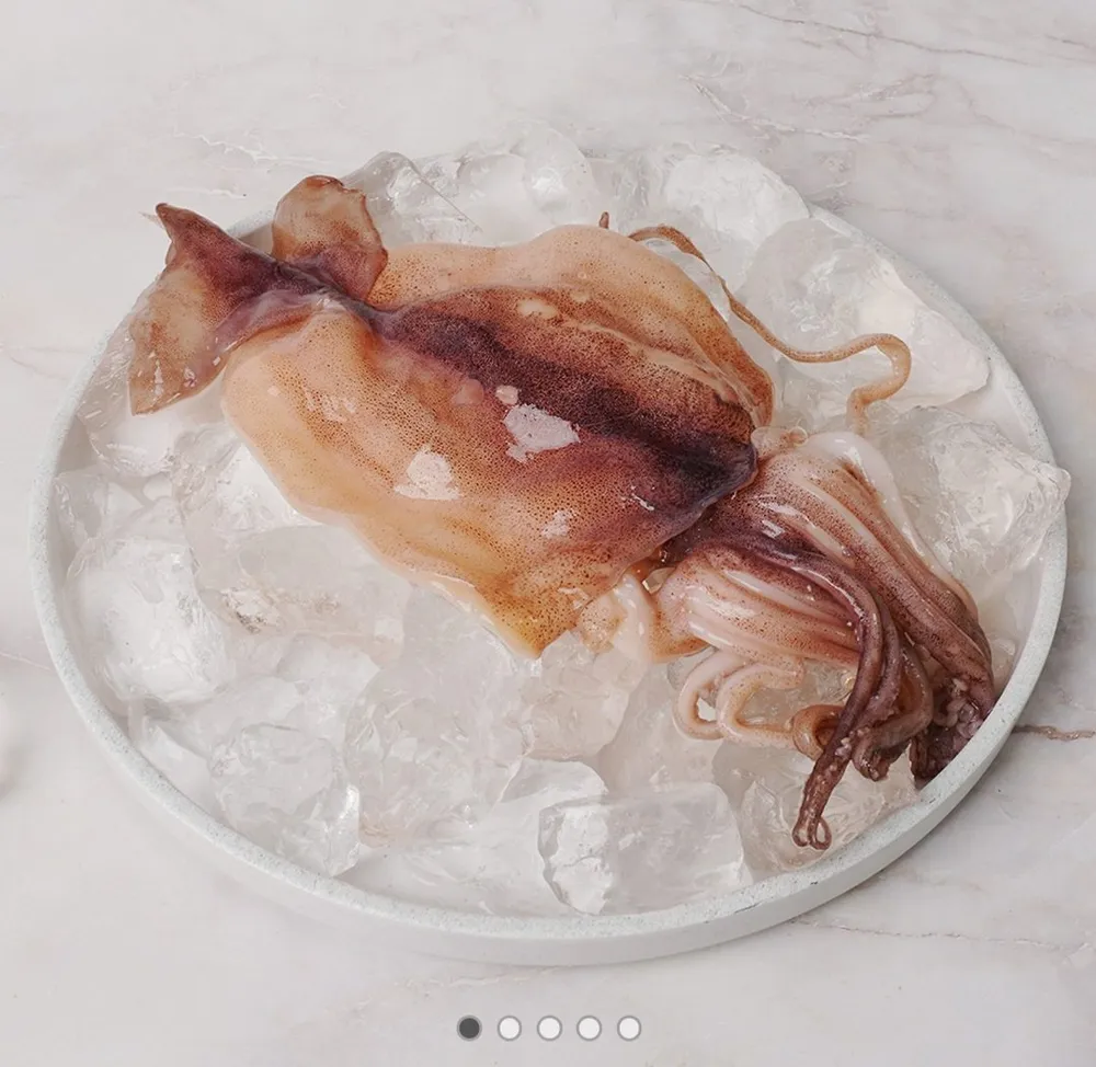 냉동오징어 구이 볶음용 500g