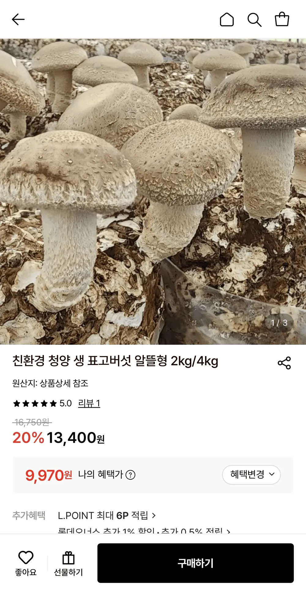 친환경 청양 생 표고버섯 알뜰형 2KG