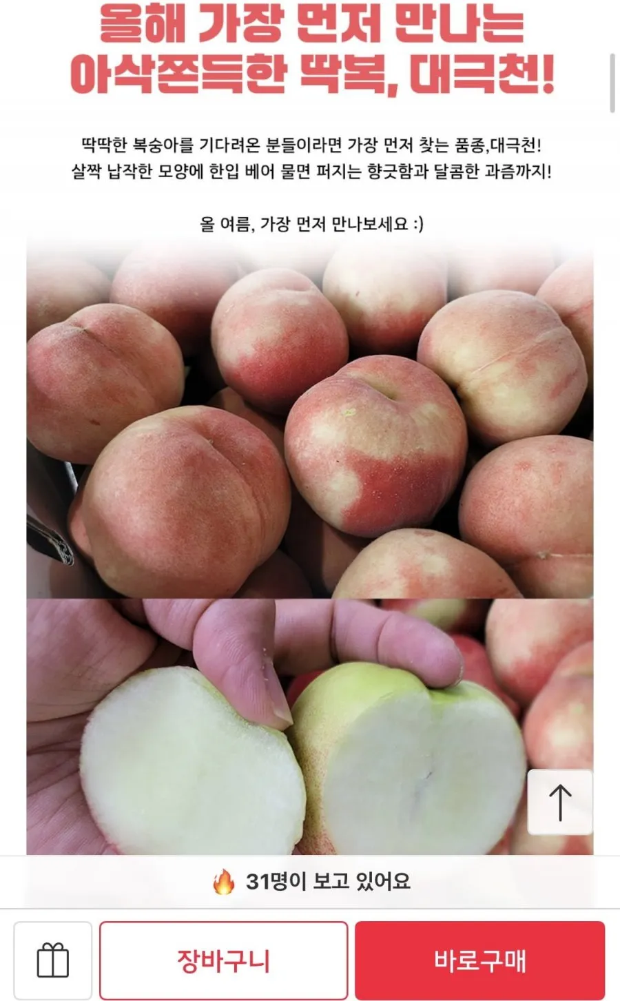 딱딱이 대극천 복숭아 1kg 소과(12-14과)