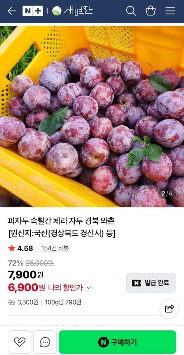GAP인증 와촌자두 1kg 소과