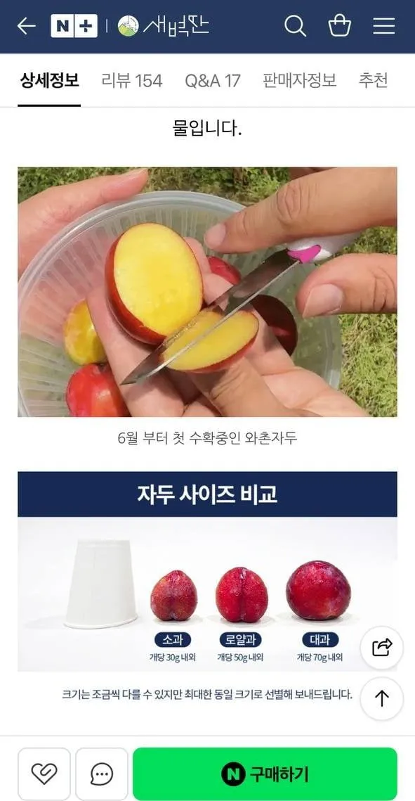 GAP인증 와촌자두 1kg 소과