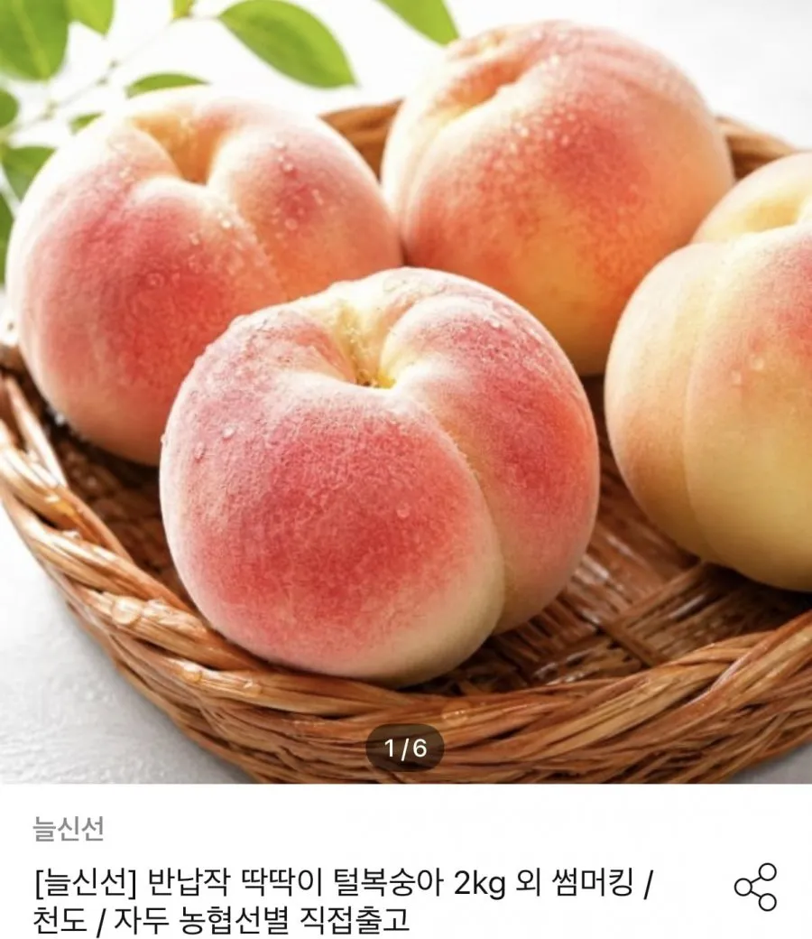 고당도 백도 복숭아 로얄과 2kg