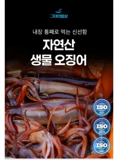 국산 생물 오징어(4-5미) 1kg