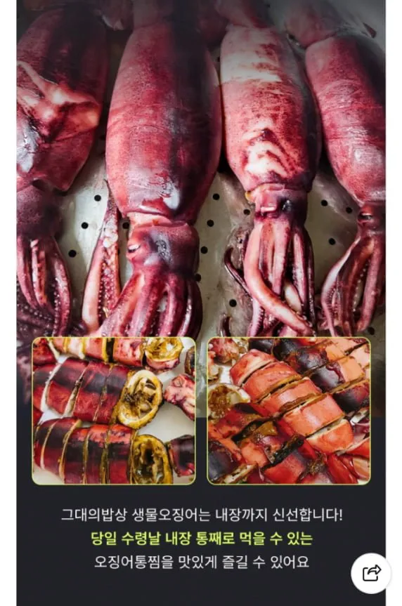 국산 생물 오징어(4-5미) 1kg