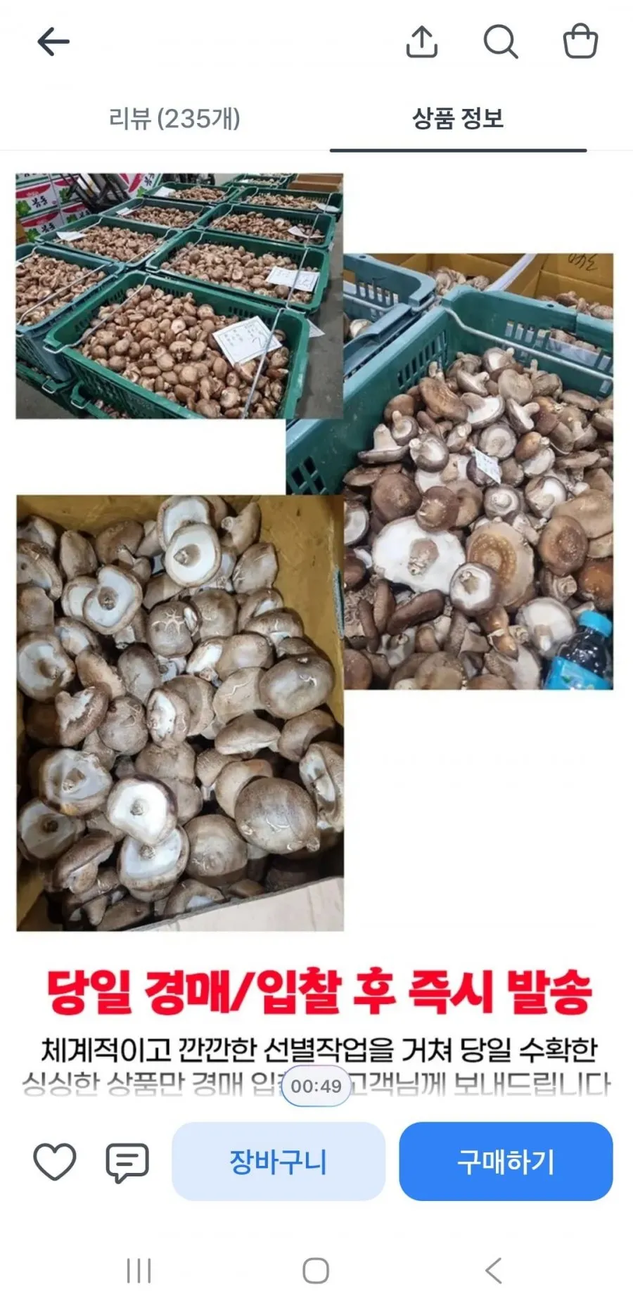 못난이 표고버섯 2kg