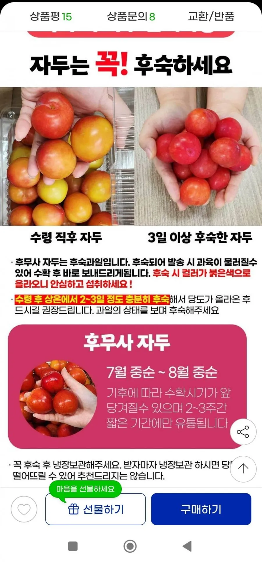 햇자두 후무사자두 3kg 대과