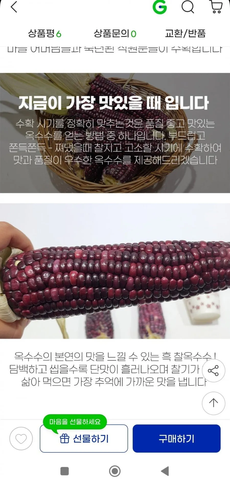 여수 흑 찰옥수수 특품 16cm이상 15개