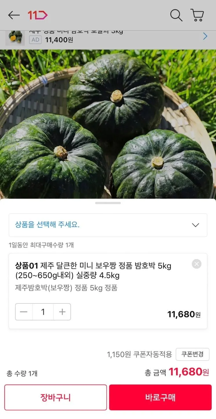제주 미니 보우짱 밤호박 5kg (250~650g내외) 실중량 4.5kg