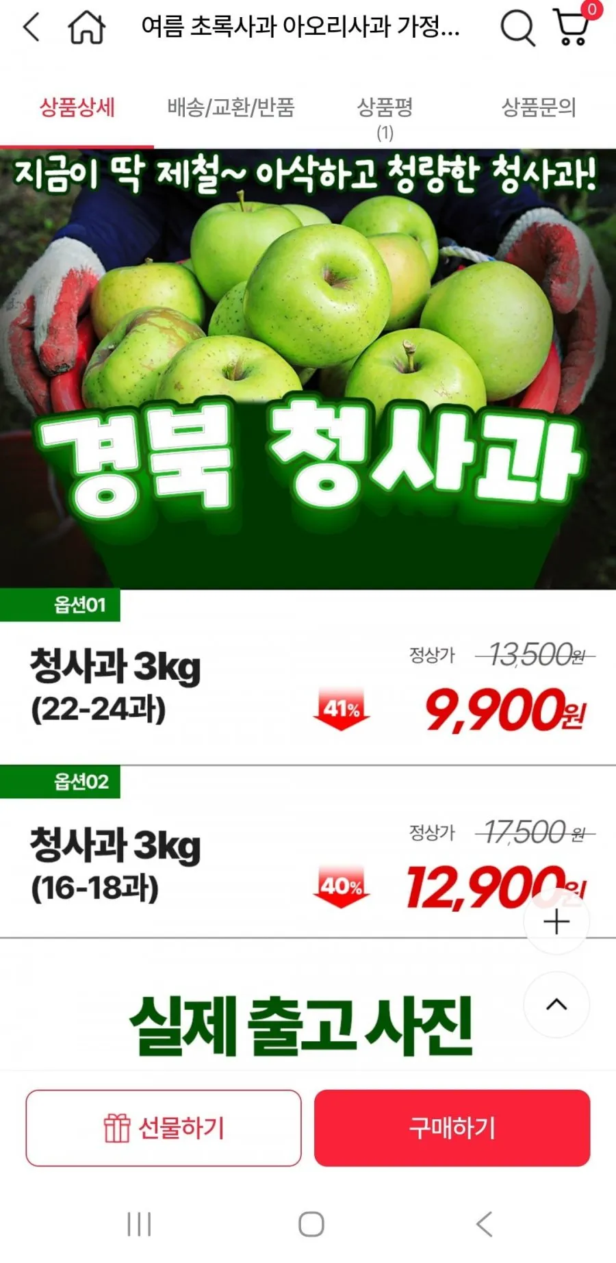 아오리사과 3kg 23과내외
