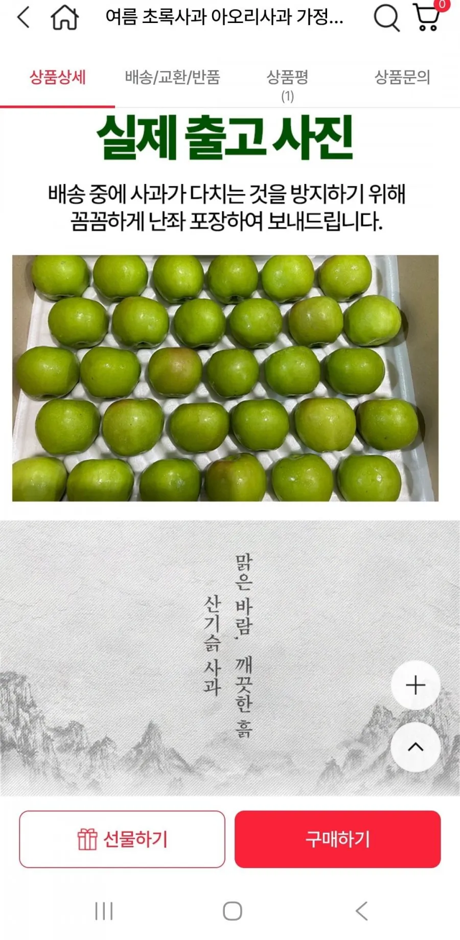 아오리사과 3kg 23과내외