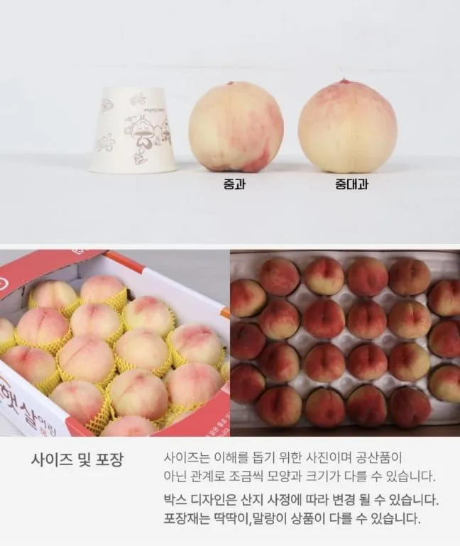 정품 경북 제철 딱딱이 복숭아 4kg