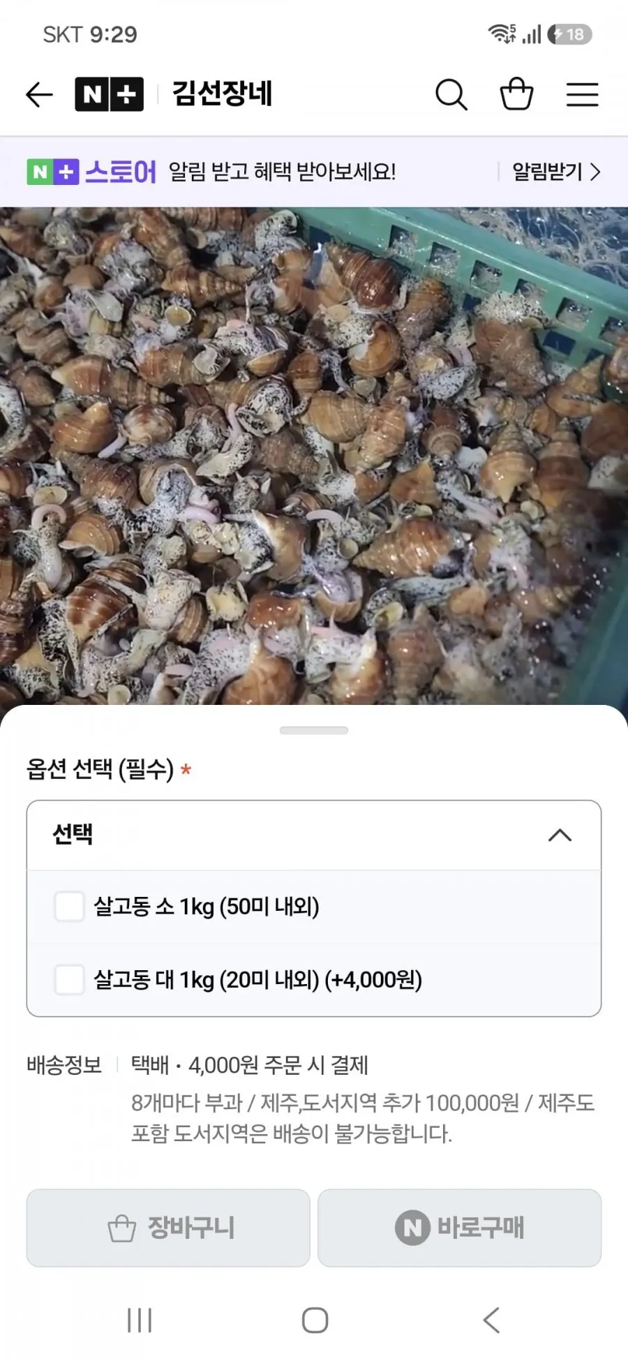 협성호 동해안 당일바리 활 생물 살고동 고추골뱅이