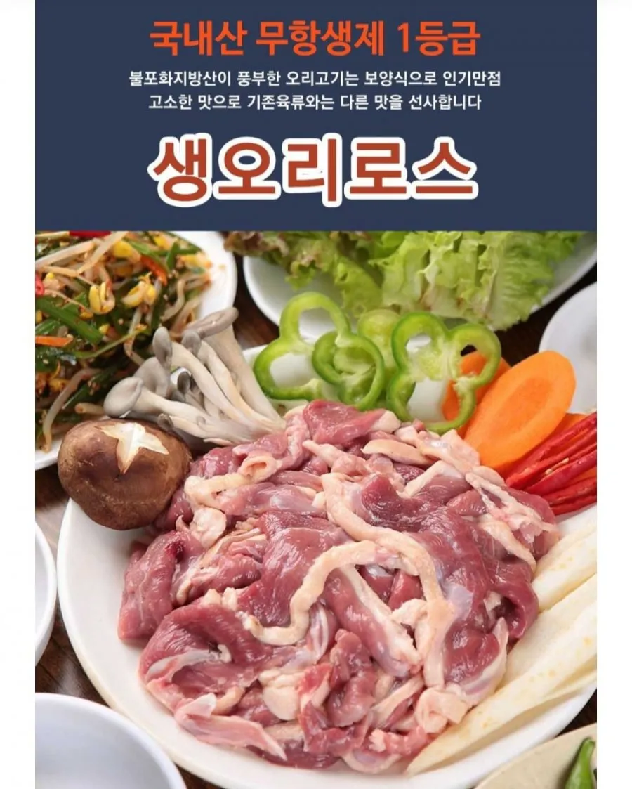 국내산 1등급 무항생제 오리로스 500g 1팩