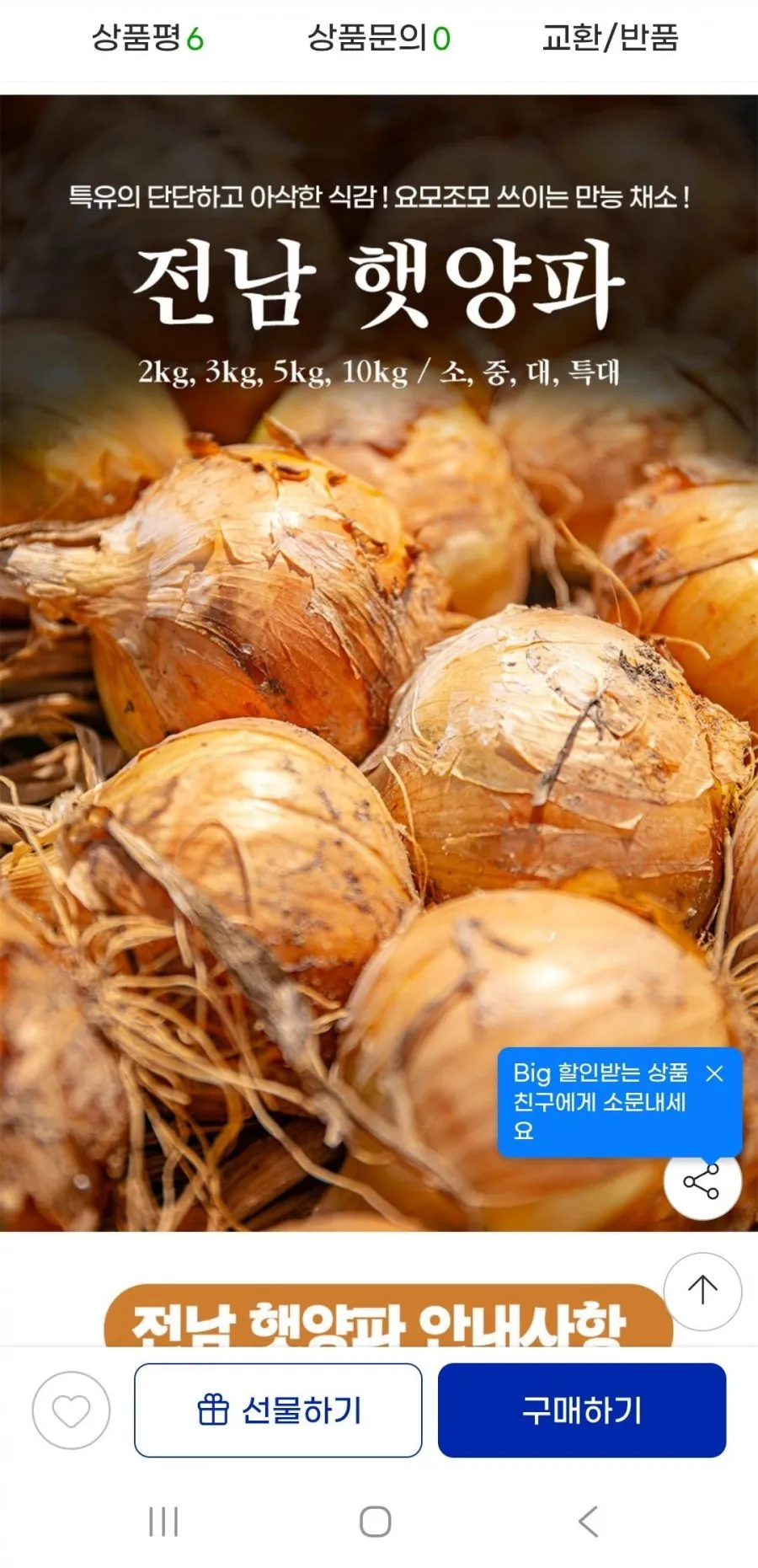 26년 5kg 장아찌용