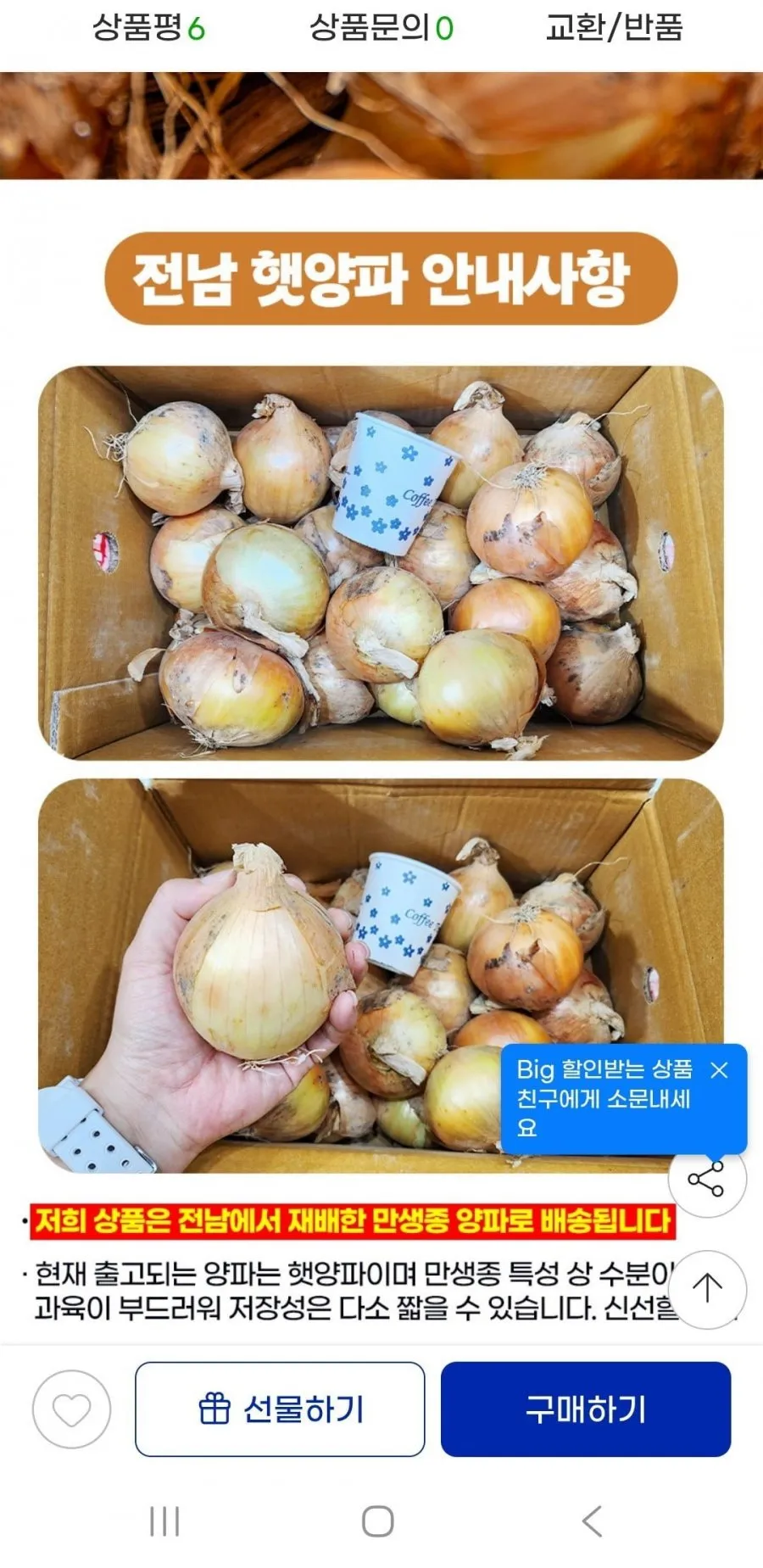 26년 5kg 장아찌용