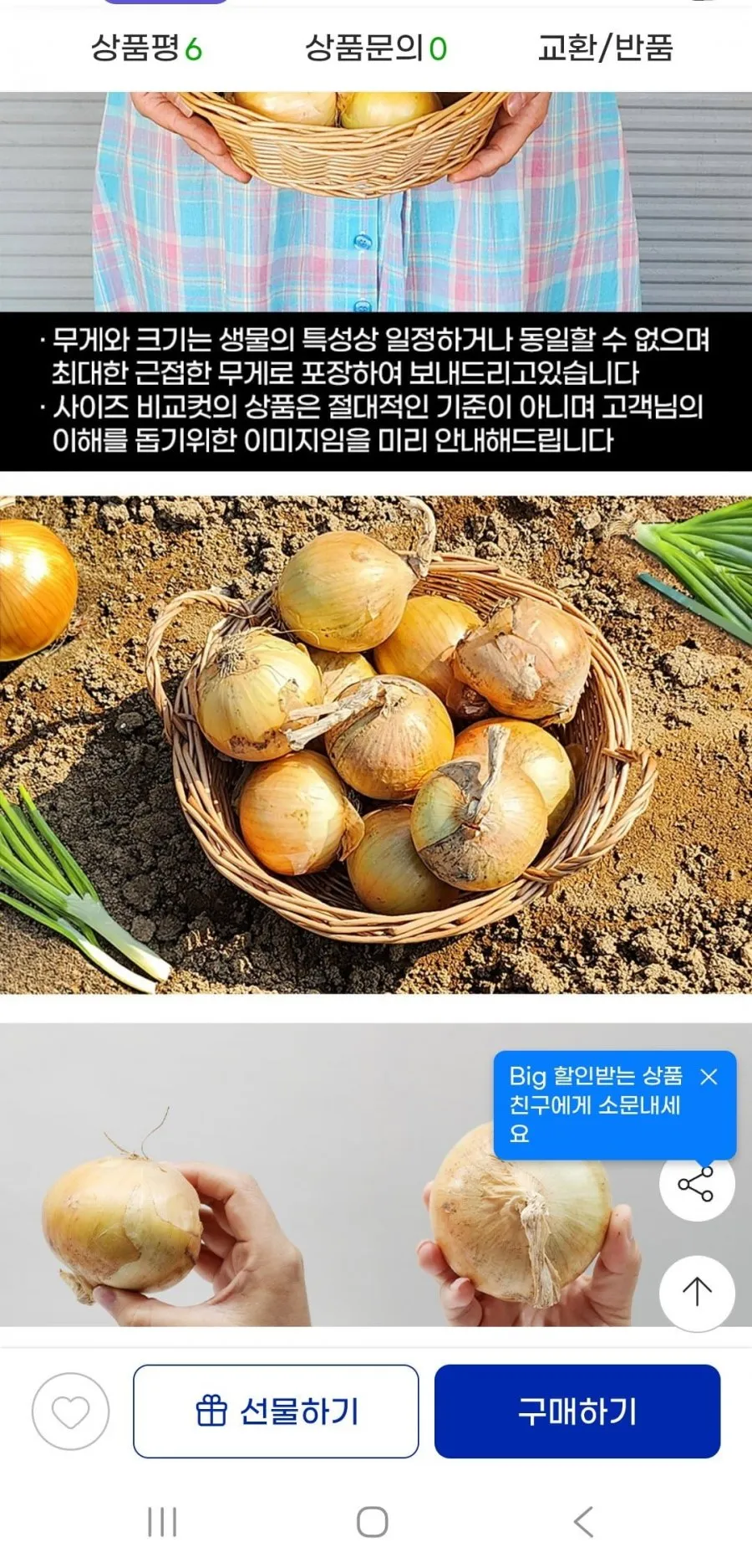 26년 5kg 장아찌용