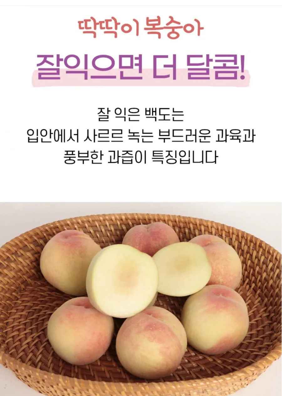 딱딱이 복숭아 백도 대과 4kg 17-20과