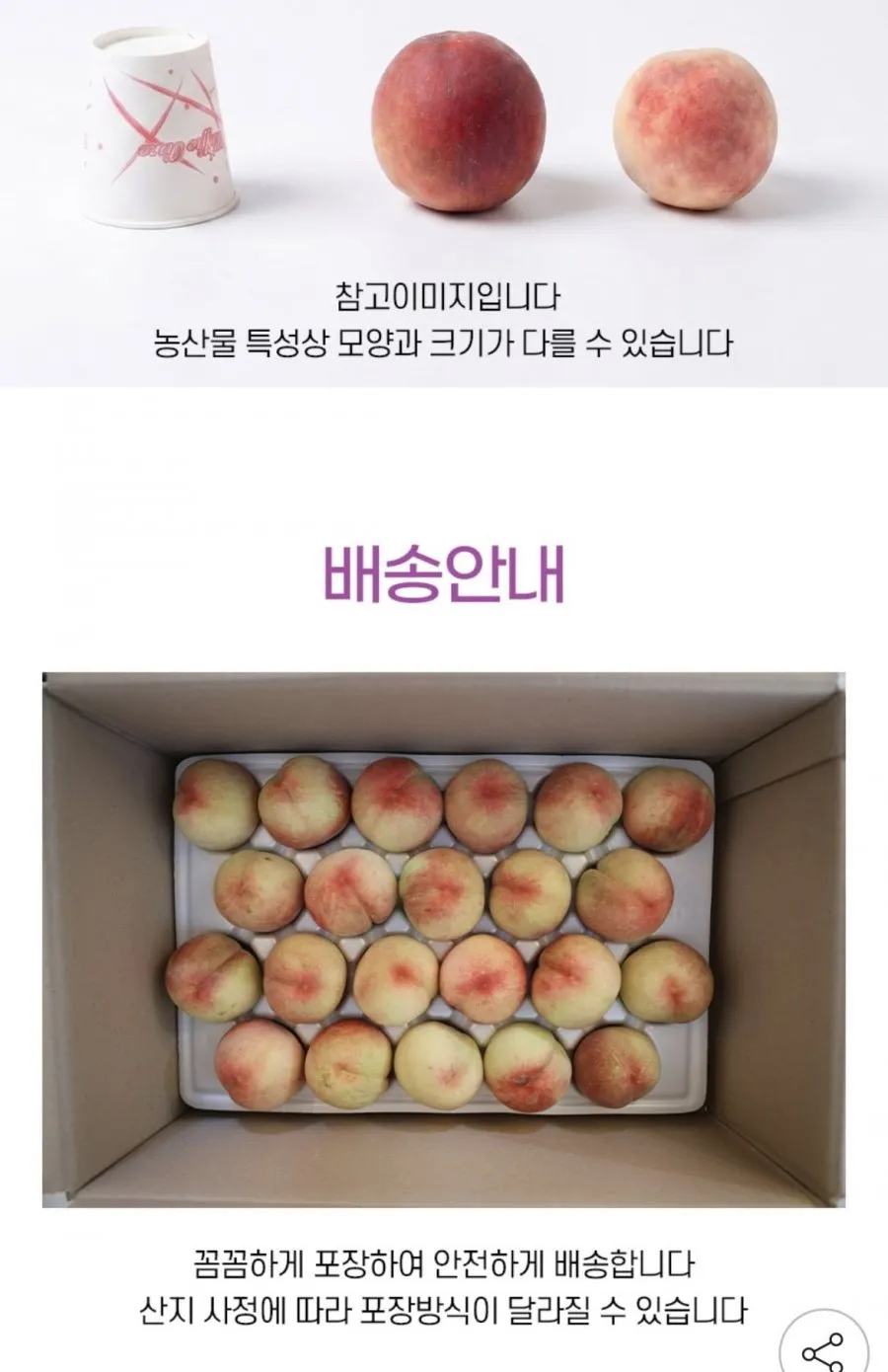 딱딱이 복숭아 백도 대과 4kg 17-20과