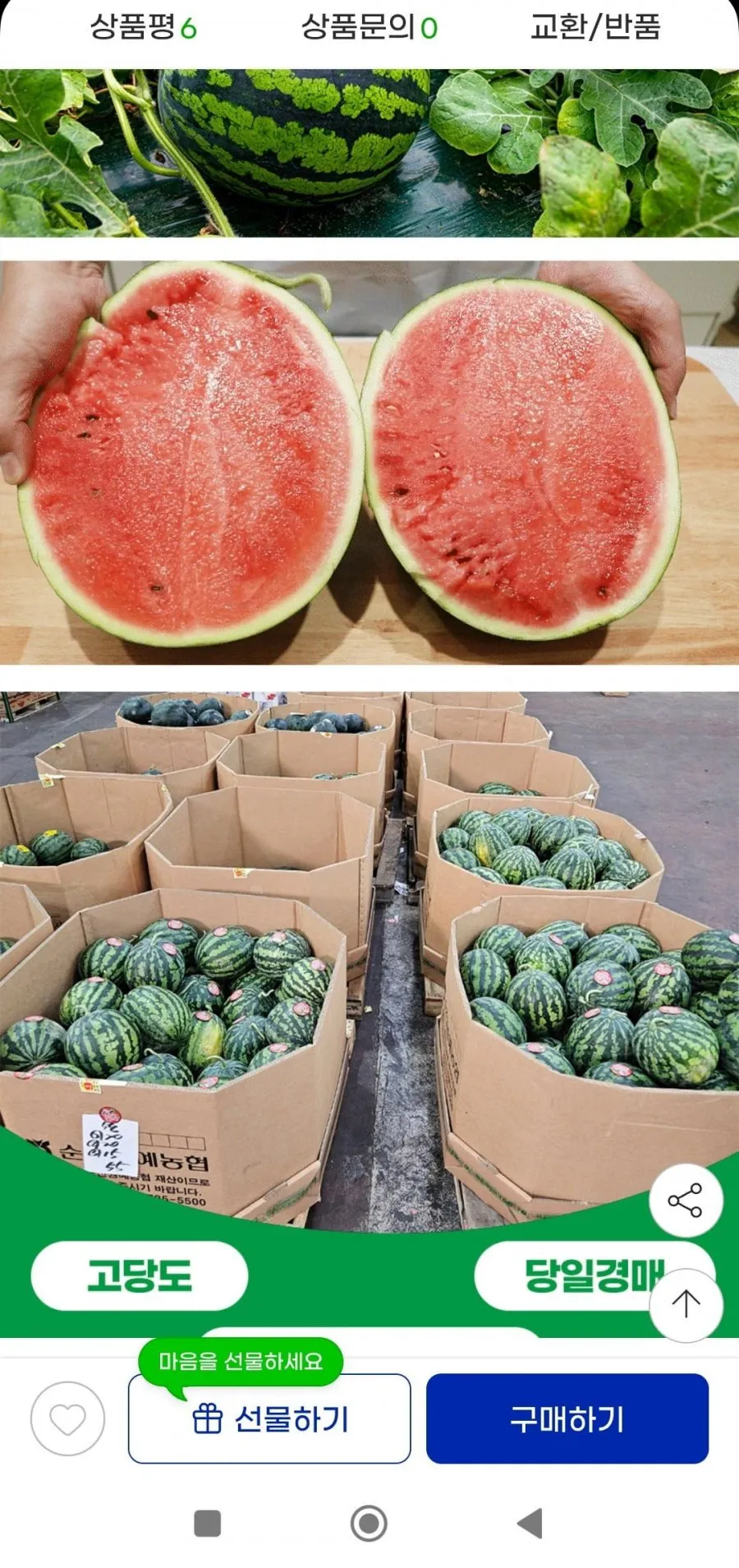 12브릭스가정용 수박 6~7kg