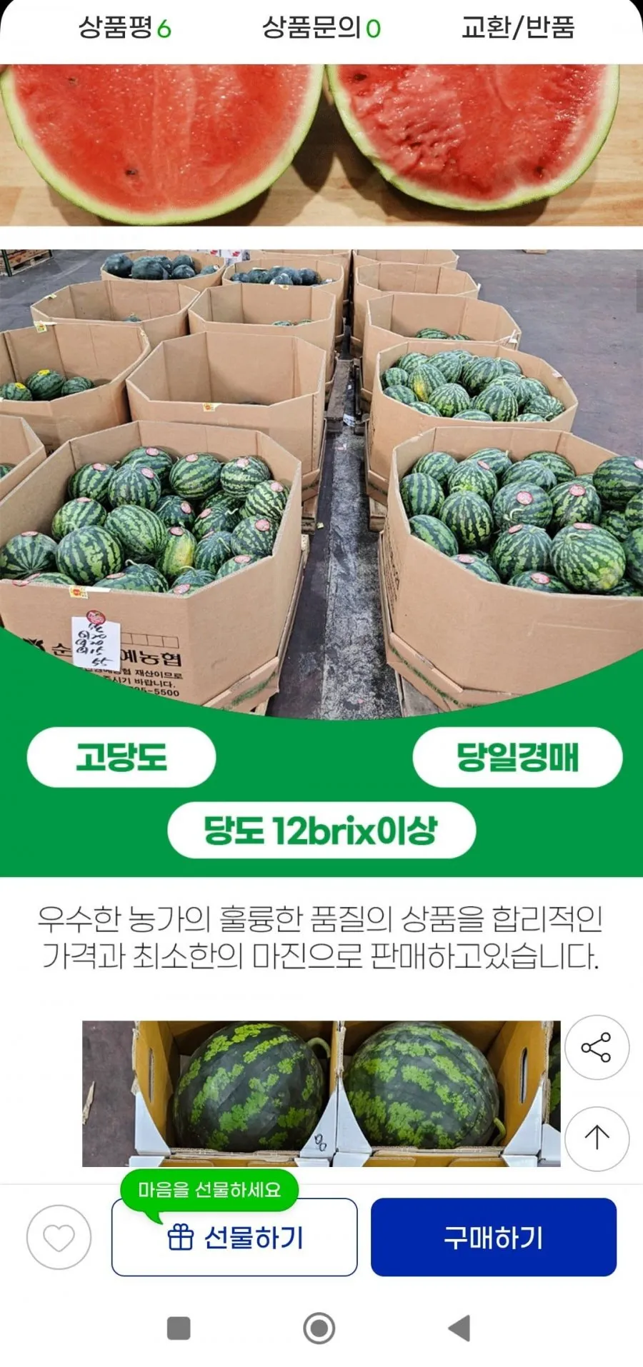 12브릭스가정용 수박 6~7kg