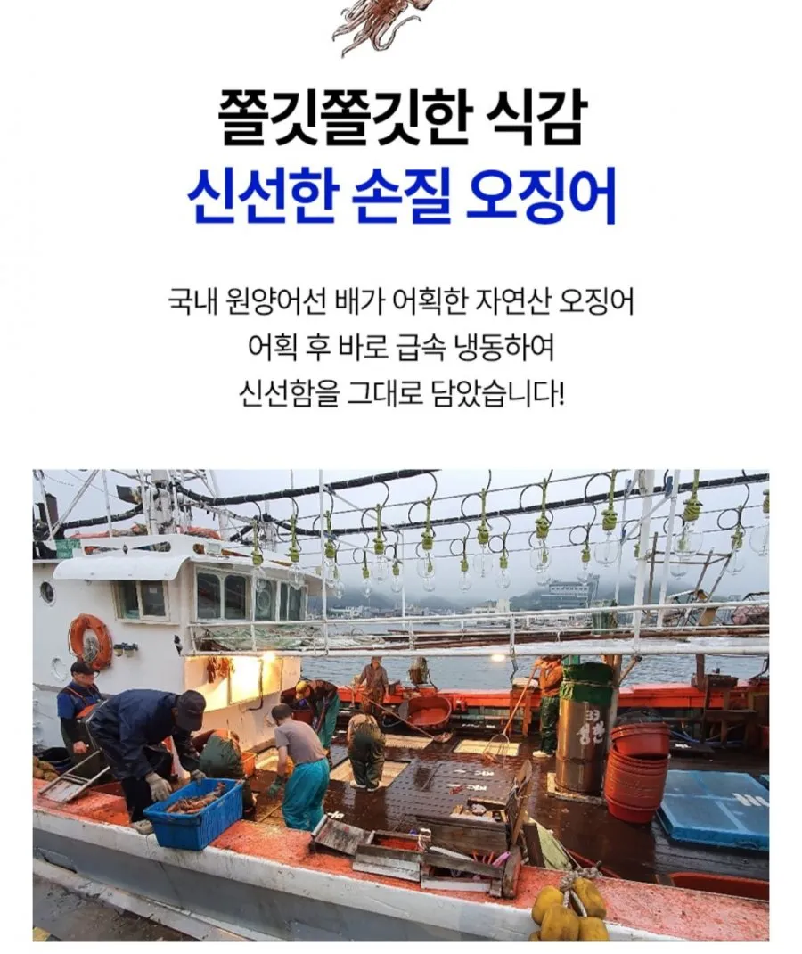 원양산 자연산 손질 통오징어 220gx5팩