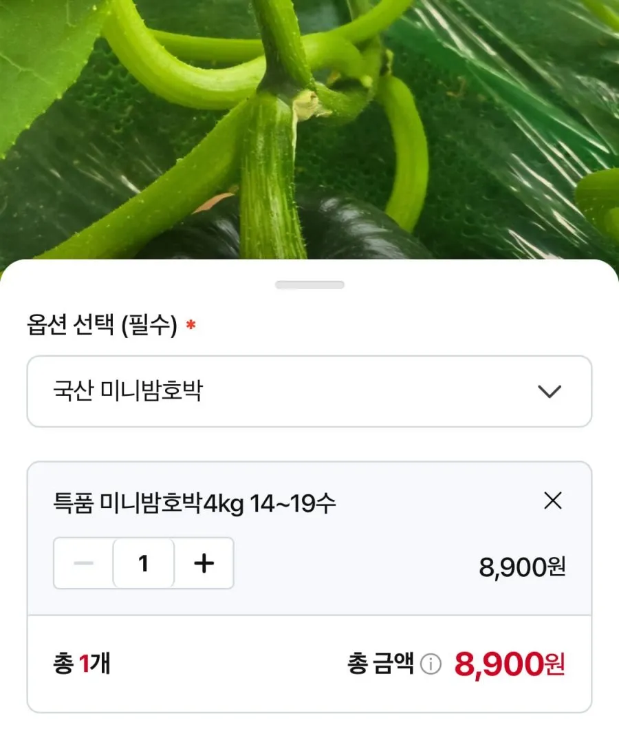 미니밤호박 4kg