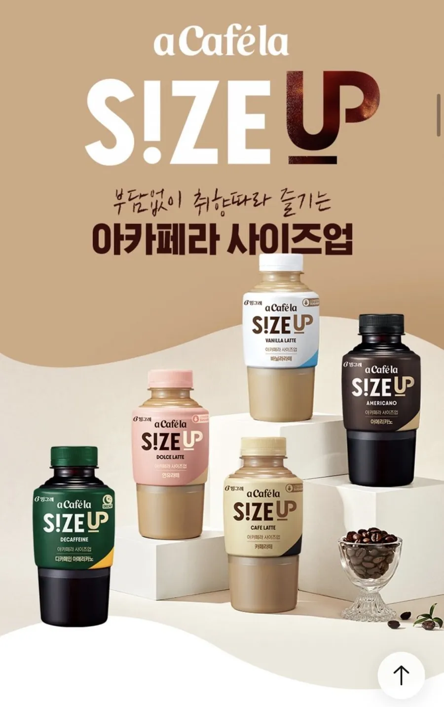 아카페라 5종 사이즈업 350ml 20개