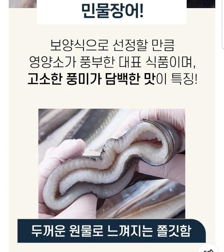 고창 풍천 자포니카 민물장어 손질 700g