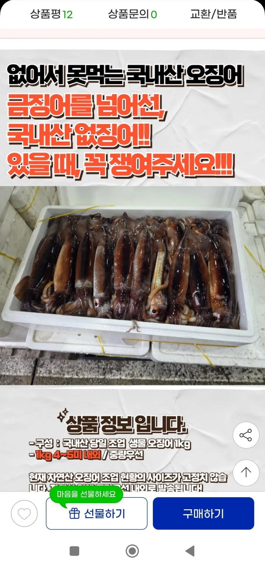 국내산 생물 오징어 1kg 4~5미