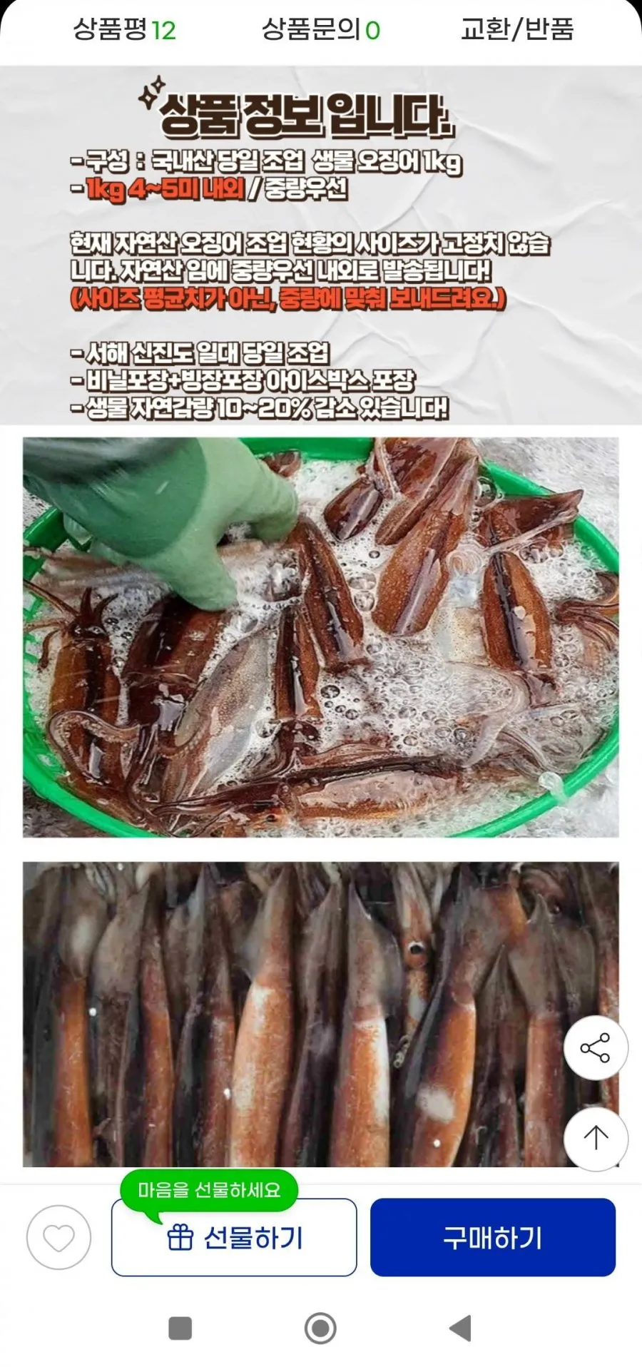 국내산 생물 오징어 1kg 4~5미