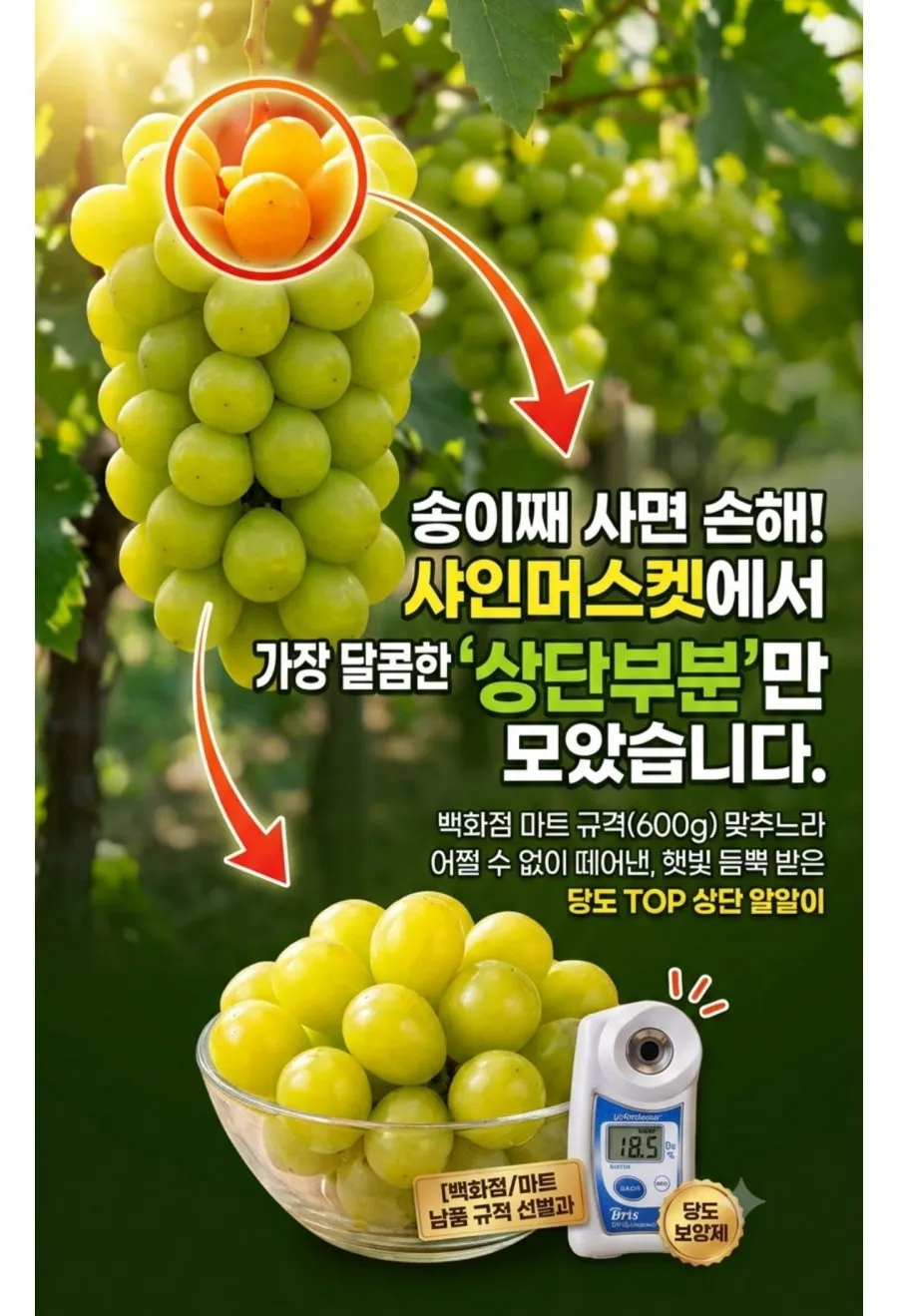 17brix 이상 상단 로얄선별 샤인머스켓 400g4팩
