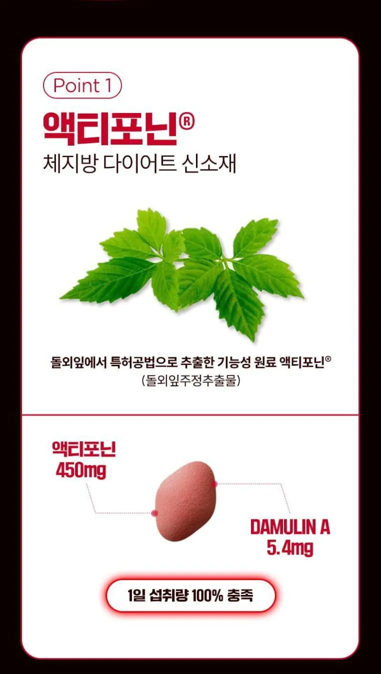 셀트리온 홀드잇 매드 10정 + 추가 2정