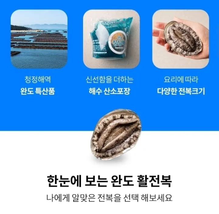 완도활전복 1kg 9미-10미