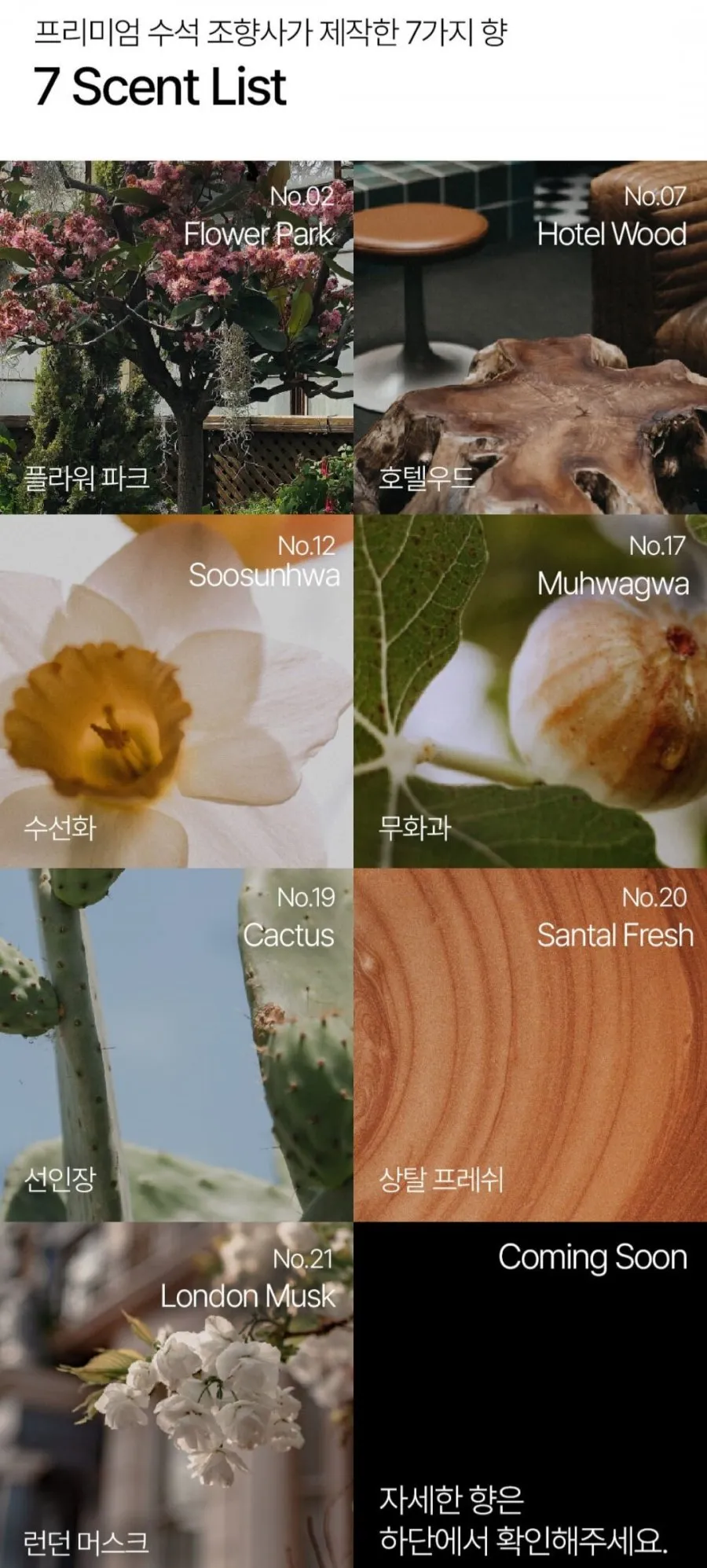 헤트라스 호텔테라피 퍼퓸 대용량 바디 워시 로션 세트 1013ml 3개