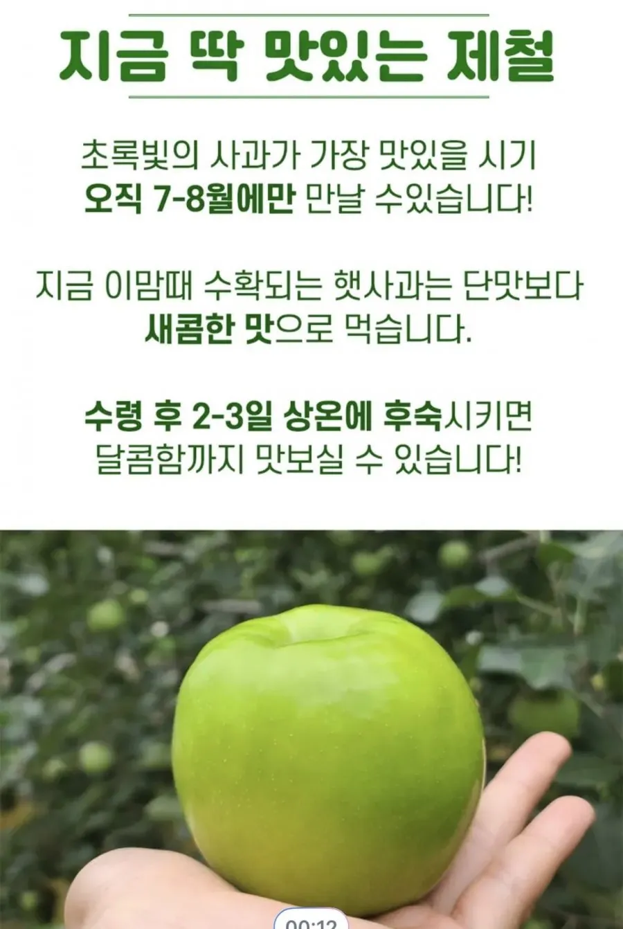 청사과 아오리사과 4kg