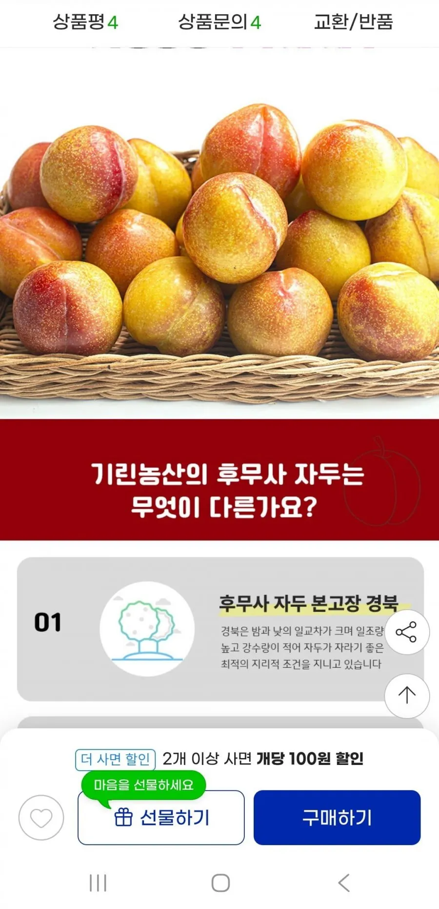 후무사 자두 5kg 2026년 첫 출하